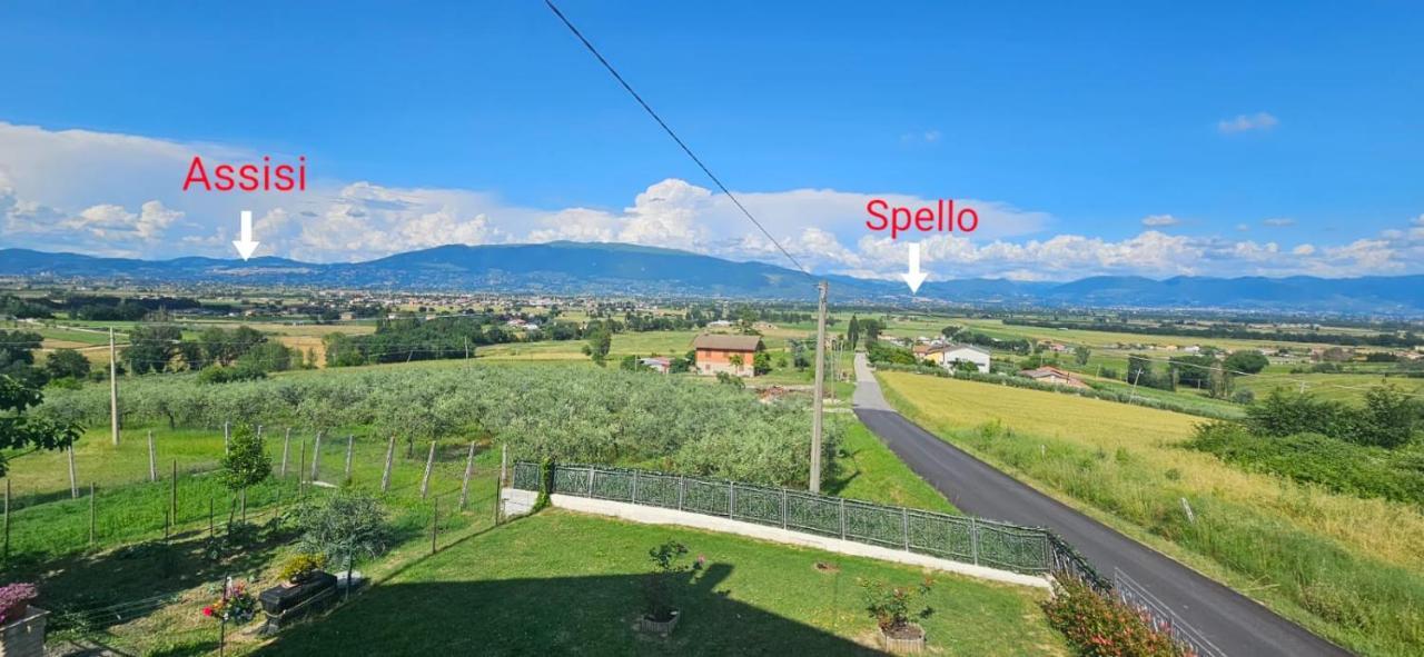 Delizioso Appartamento Collinare Limigiano エクステリア 写真